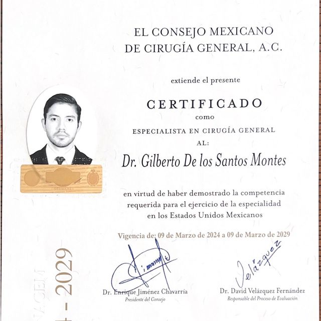 Ampliar imagen: certificate 1