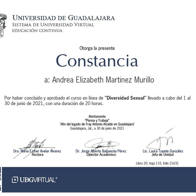Ampliar imagen: certificate 29