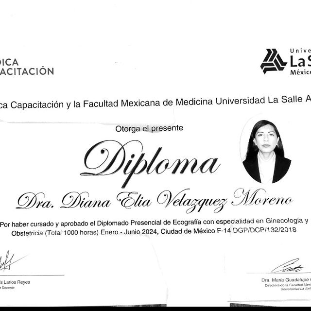 Ampliar imagen: certificate 4
