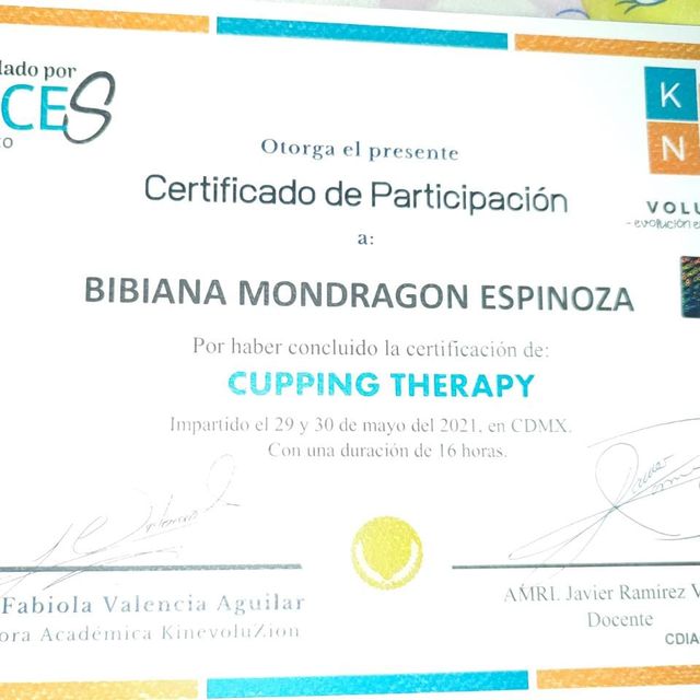 Ampliar imagen: certificate 3