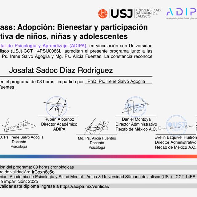 Ampliar imagen: certificate 7