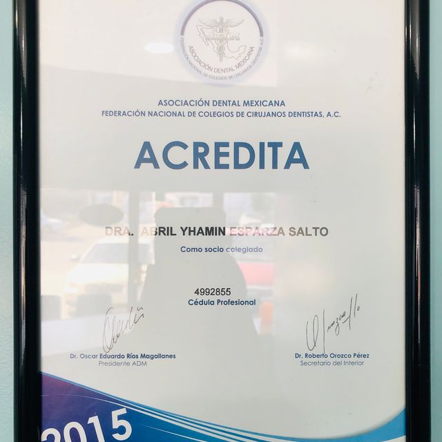 Ampliar imagen: certificate 8