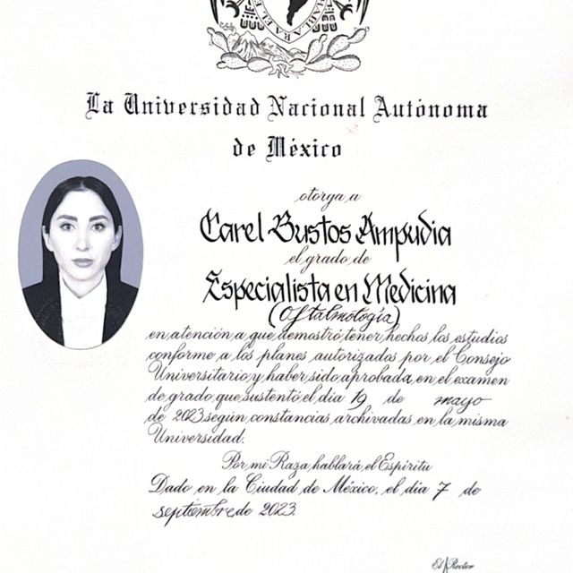 Ampliar imagen: certificate 2