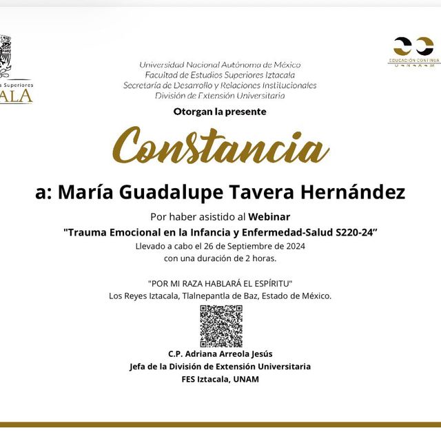 Ampliar imagen: certificate 21