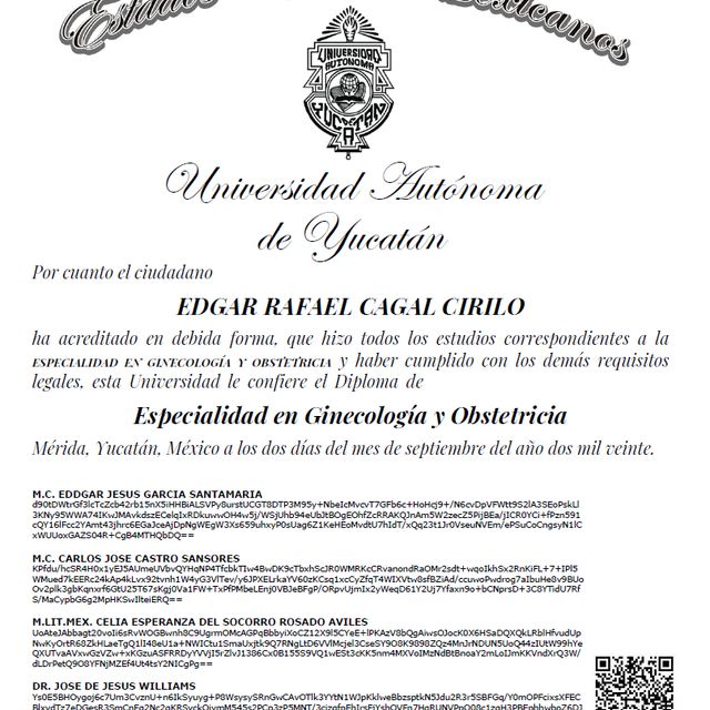 Ampliar imagen: certificate 1