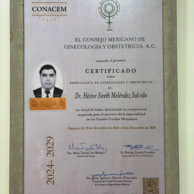 Ampliar imagen: certificate 3