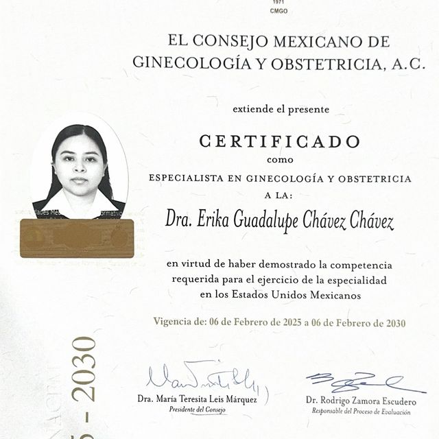 Ampliar imagen: certificate 1