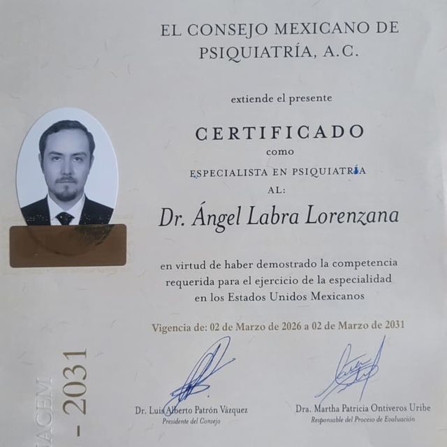 Ampliar imagen: certificate 1