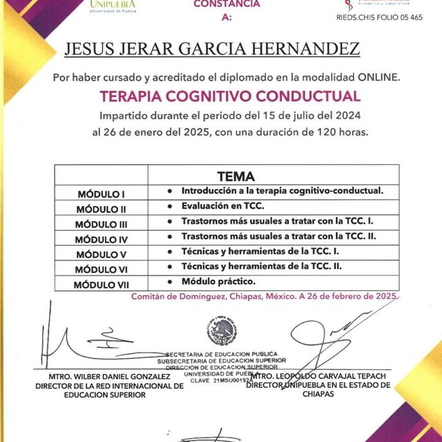 Ampliar imagen: certificate 1