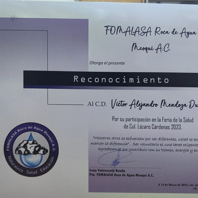 Ampliar imagen: certificate 7