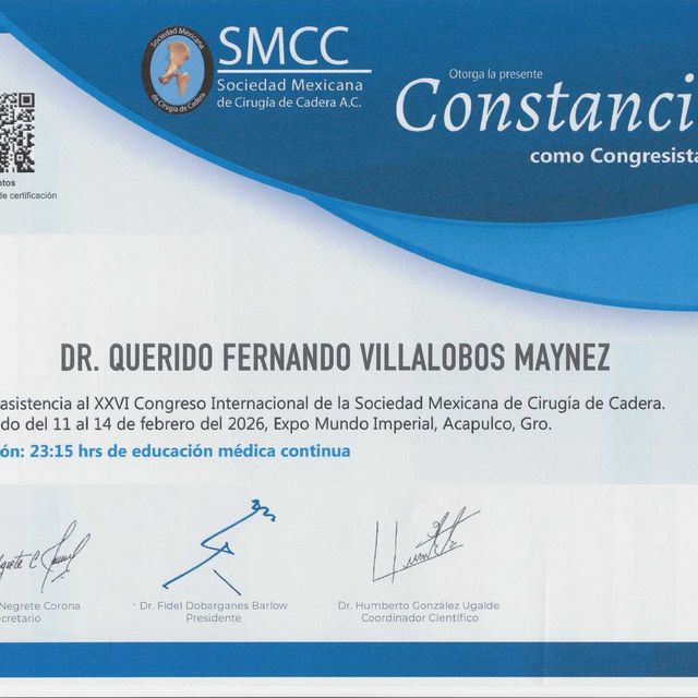 Ampliar imagen: certificate 5