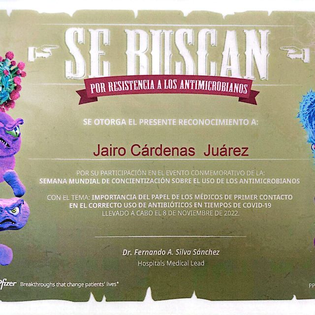 Ampliar imagen: certificate 5