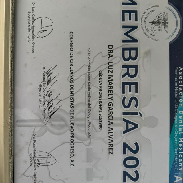 Ampliar imagen: certificate 6