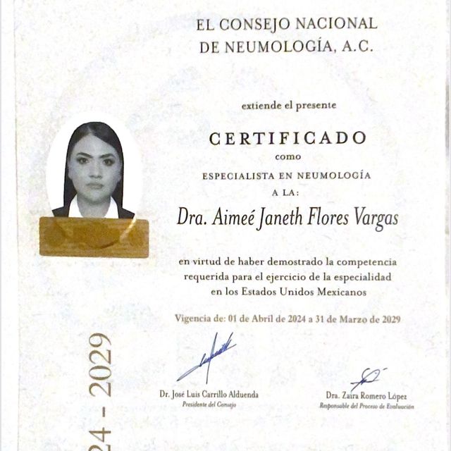 Ampliar imagen: certificate 2