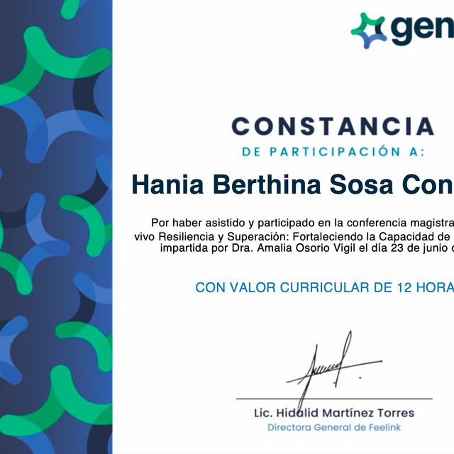 Ampliar imagen: certificate 6
