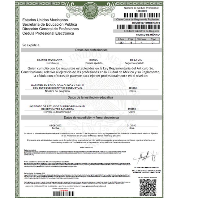 Ampliar imagen: certificate 4