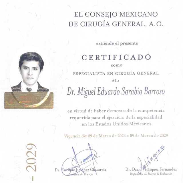 Ampliar imagen: certificate 1