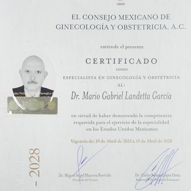 Ampliar imagen: certificate 21