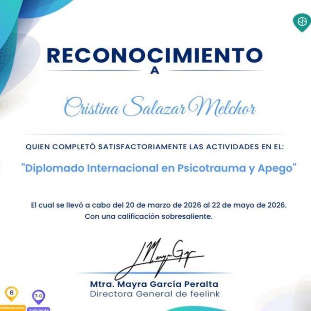 Ampliar imagen: certificate 4