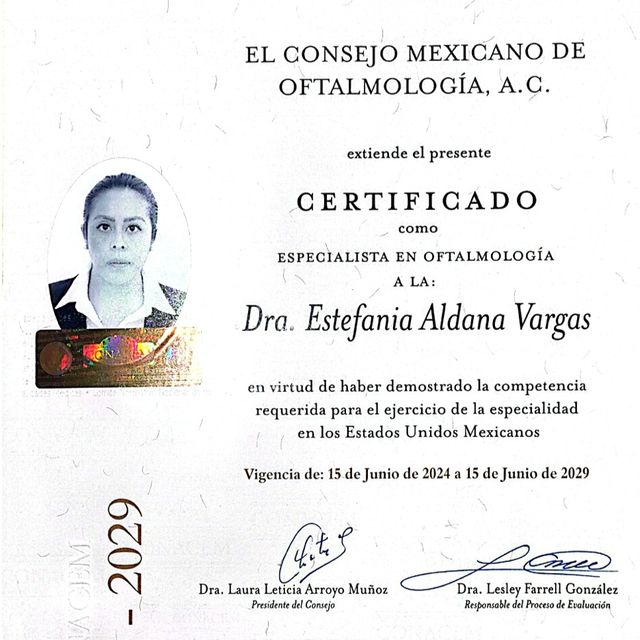 Ampliar imagen: certificate 1