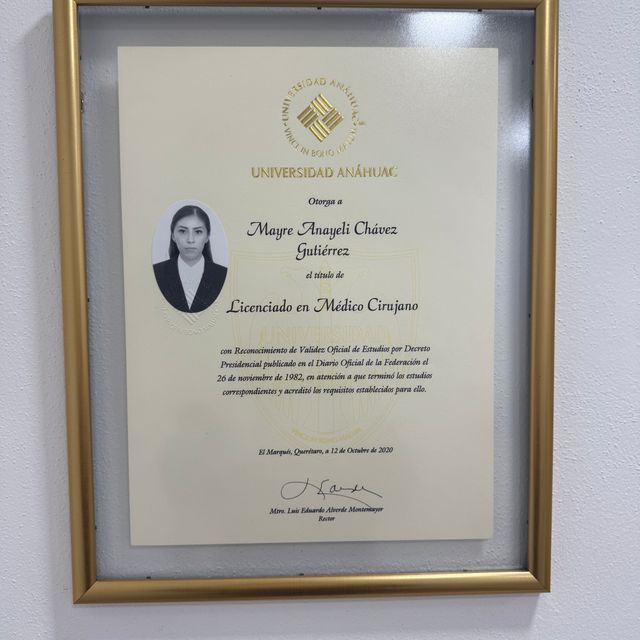 Ampliar imagen: certificate 1