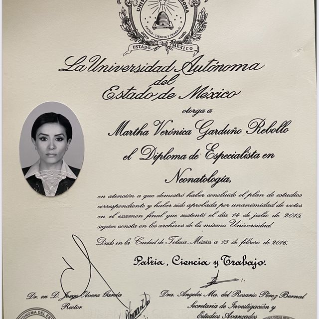 Ampliar imagen: certificate 2