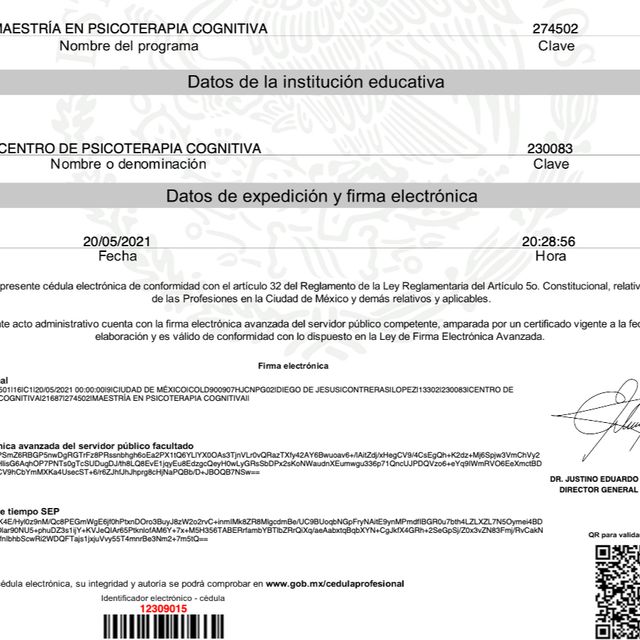 Ampliar imagen: certificate 1