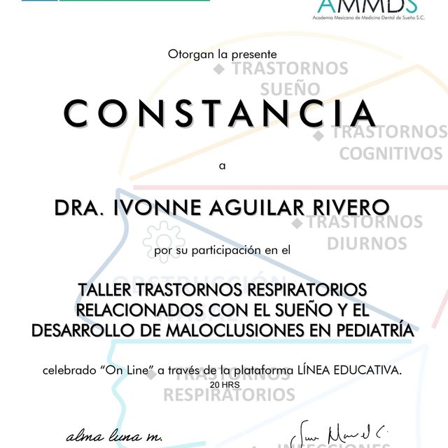 Ampliar imagen: certificate 2