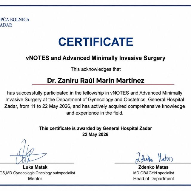 Ampliar imagen: certificate 1