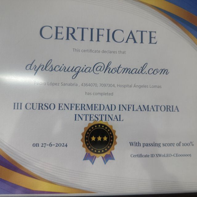 Ampliar imagen: certificate 11