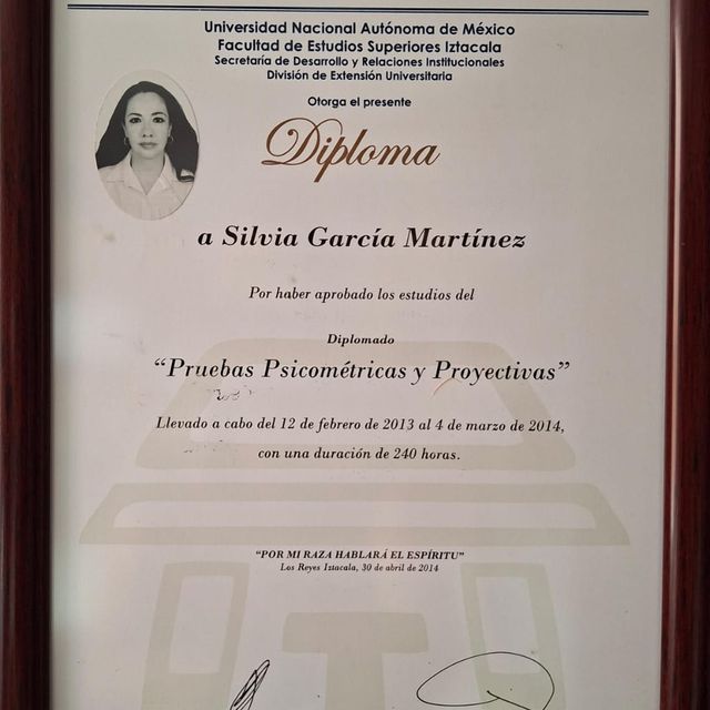 Ampliar imagen: certificate 4