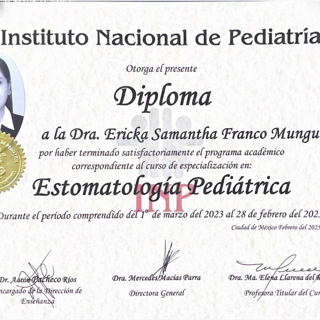 Ampliar imagen: certificate 4