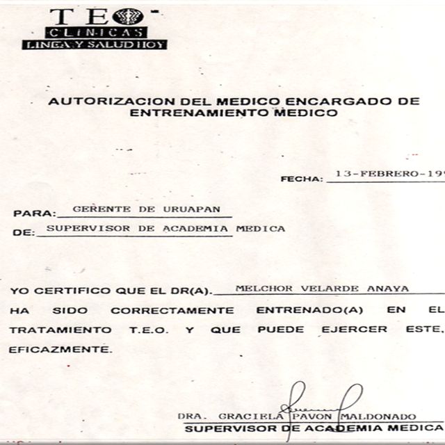 Ampliar imagen: certificate 23