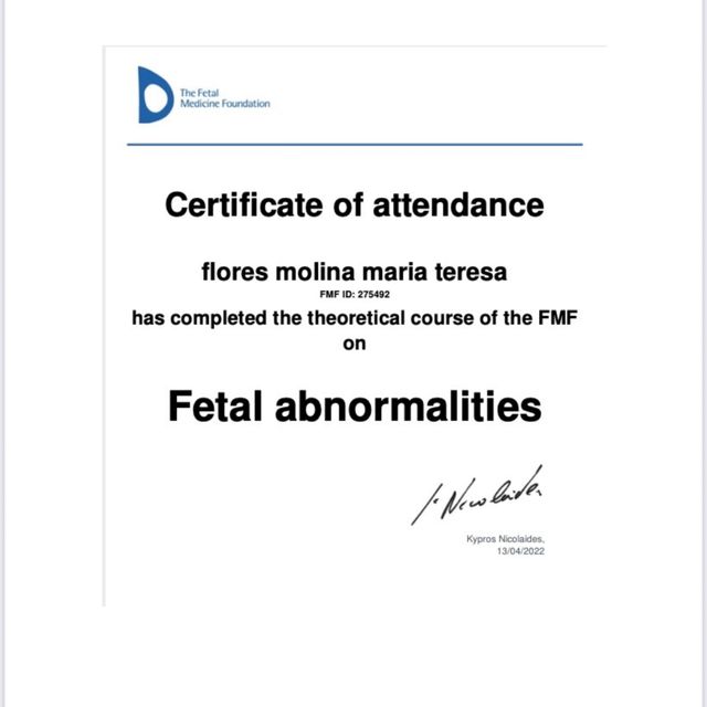 Ampliar imagen: certificate 6