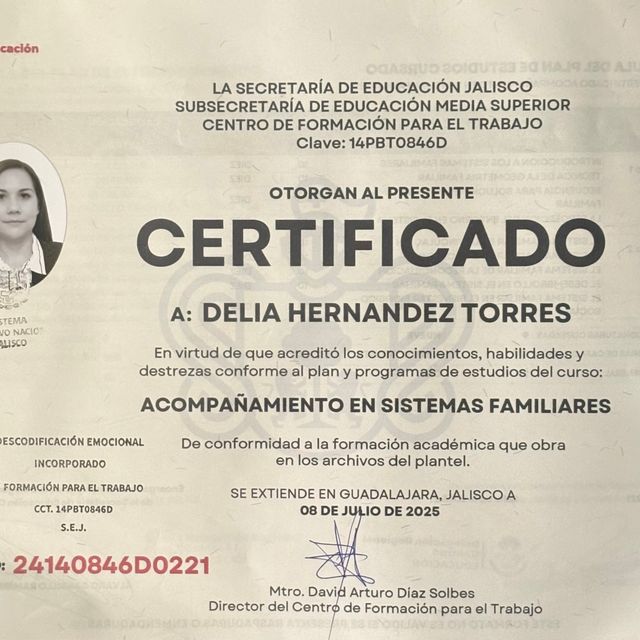 Ampliar imagen: certificate 3