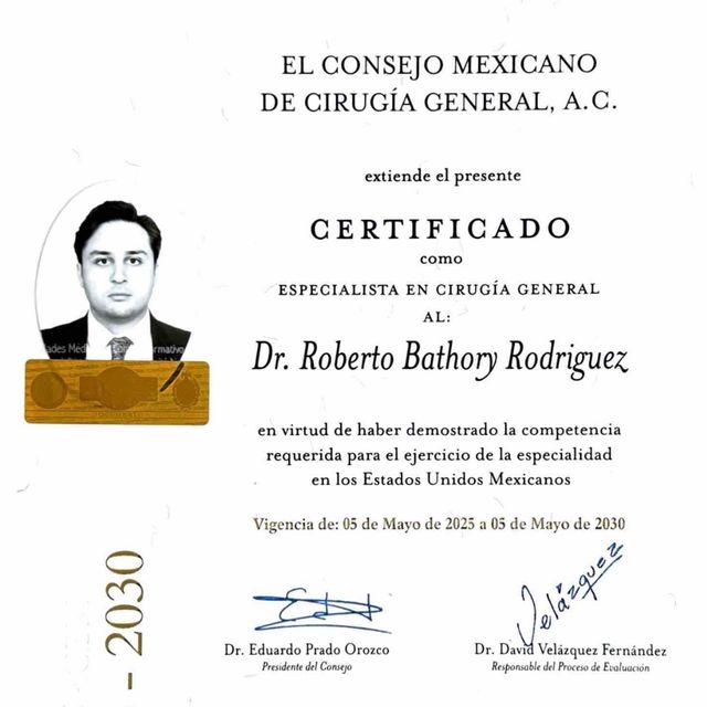 Ampliar imagen: certificate 1