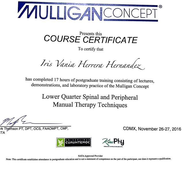 Ampliar imagen: certificate 5