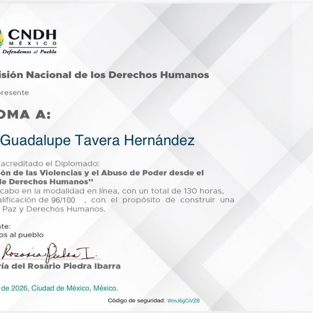 Ampliar imagen: certificate 91