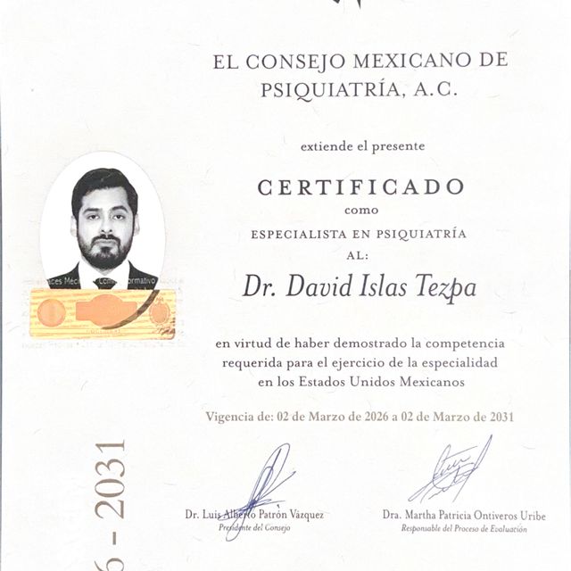Ampliar imagen: certificate 1