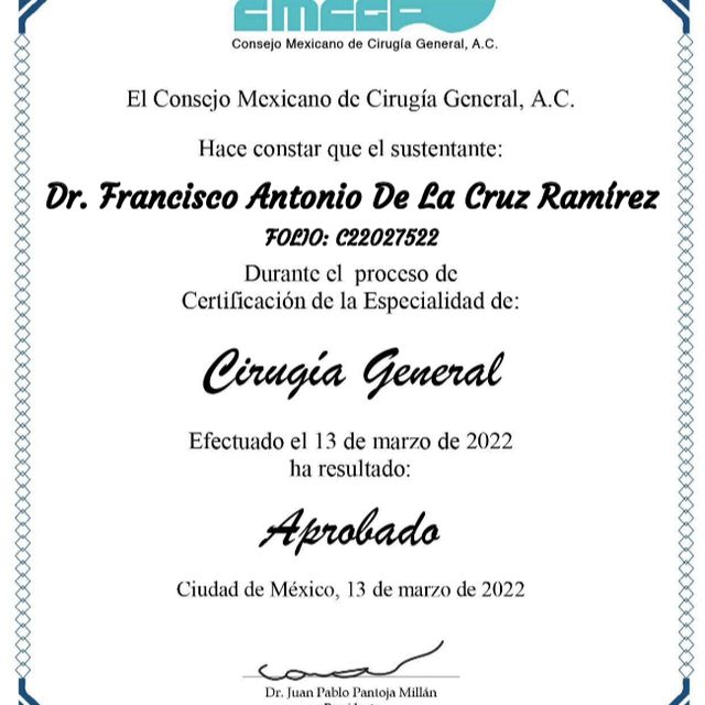 Ampliar imagen: certificate 1