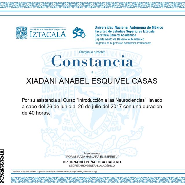 Ampliar imagen: certificate 10