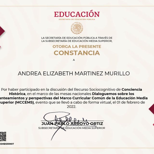 Ampliar imagen: certificate 53