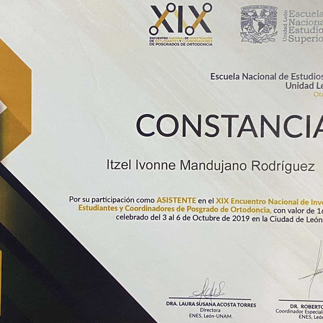 Ampliar imagen: certificate 7