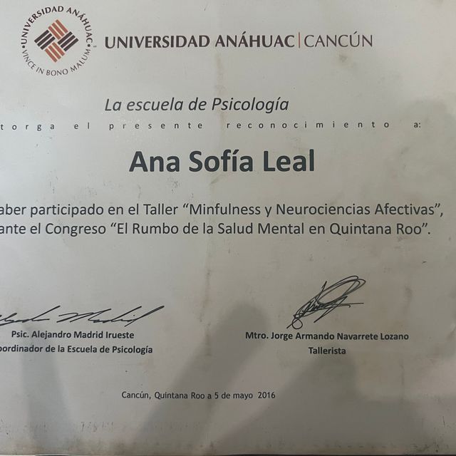 Ampliar imagen: certificate 2
