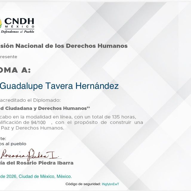 Ampliar imagen: certificate 93