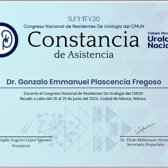 Ampliar imagen: certificate 3