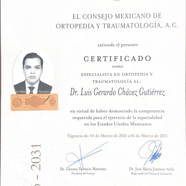 Ampliar imagen: certificate 1