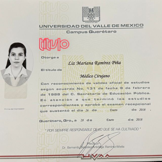 Ampliar imagen: certificate 4