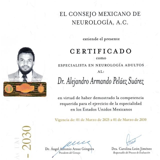 Ampliar imagen: certificate 1