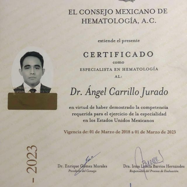 Ampliar imagen: certificate 2